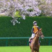 より 桜の女王🐎 熟女の風俗最終章 仙台店
