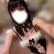 ヨウカ HappyNewYear? PLATINUM