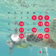 ヒメ日記 2026/06/05 10:42 投稿 ヨウカ PLATINUM