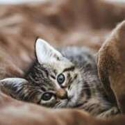 まい ありがとう🫶 エディーズ