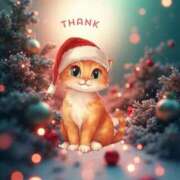 ヒメ日記 2025/12/23 19:56 投稿 まい エディーズ