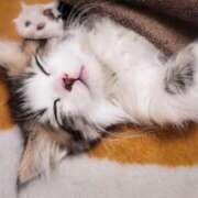 ヒメ日記 2025/12/29 13:36 投稿 まい エディーズ