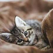 ヒメ日記 2026/02/16 18:46 投稿 まい エディーズ