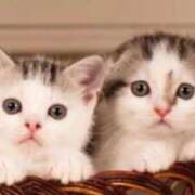 ヒメ日記 2026/03/03 20:46 投稿 まい エディーズ