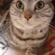 ヒメ日記 2024/12/11 13:56 投稿 松本由紀 五十路マダム姫路店