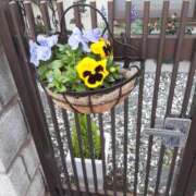 ヒメ日記 2024/12/24 10:52 投稿 松本由紀 五十路マダム姫路店