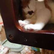 ヒメ日記 2025/01/17 13:52 投稿 松本由紀 五十路マダム姫路店