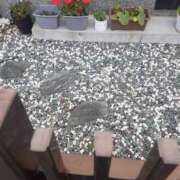 ヒメ日記 2025/02/07 14:50 投稿 松本由紀 五十路マダム姫路店