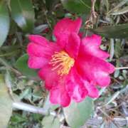 ヒメ日記 2025/02/12 09:00 投稿 松本由紀 五十路マダム姫路店