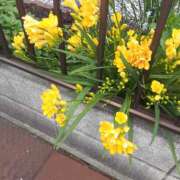 ヒメ日記 2025/02/21 14:20 投稿 松本由紀 五十路マダム姫路店