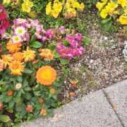 ヒメ日記 2025/02/21 18:46 投稿 松本由紀 五十路マダム姫路店