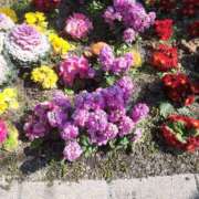 ヒメ日記 2025/03/14 14:46 投稿 松本由紀 五十路マダム姫路店