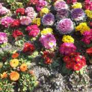 ヒメ日記 2025/03/17 10:48 投稿 松本由紀 五十路マダム姫路店