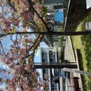 ヒメ日記 2025/04/06 14:00 投稿 松本由紀 五十路マダム姫路店