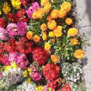 ヒメ日記 2025/04/10 13:16 投稿 松本由紀 五十路マダム姫路店