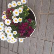 ヒメ日記 2025/04/17 12:36 投稿 松本由紀 五十路マダム姫路店