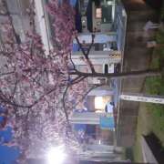 ヒメ日記 2025/04/25 13:50 投稿 松本由紀 五十路マダム姫路店