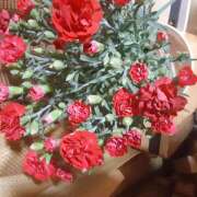 ヒメ日記 2025/05/20 13:46 投稿 松本由紀 五十路マダム姫路店