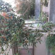 松本由紀 こんにちは 五十路マダム姫路店