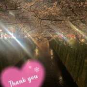 ヒメ日記 2025/03/01 23:27 投稿 柏木 あなたに逢いたくて