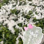 ヒメ日記 2025/03/05 12:17 投稿 柏木 あなたに逢いたくて