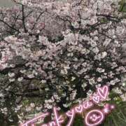 ヒメ日記 2025/03/16 23:37 投稿 柏木 あなたに逢いたくて