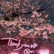 ヒメ日記 2025/04/04 22:41 投稿 柏木 あなたに逢いたくて