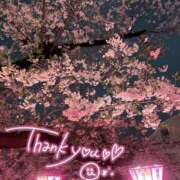 ヒメ日記 2025/04/04 22:47 投稿 柏木 あなたに逢いたくて