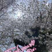 ヒメ日記 2025/04/29 19:47 投稿 柏木 あなたに逢いたくて