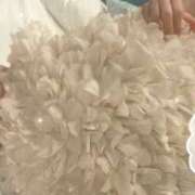 ヒメ日記 2025/11/04 11:08 投稿 柏木 あなたに逢いたくて