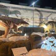 ヒメ日記 2026/02/11 13:29 投稿 柏木 あなたに逢いたくて