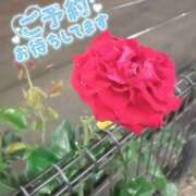 ヒメ日記 2026/05/23 12:37 投稿 柏木 あなたに逢いたくて