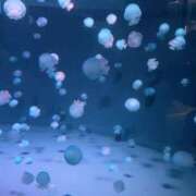 ヒメ日記 2025/05/31 12:16 投稿 カスミ マテリアル