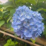 ヒメ日記 2025/06/30 18:46 投稿 カスミ マテリアル