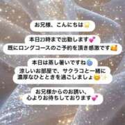 ヒメ日記 2025/07/14 14:16 投稿 サクラコ マテリアル