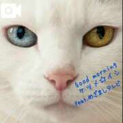 ヒメ日記 2025/01/11 08:54 投稿 さりな 池袋おかあさん