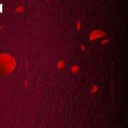 ヒメ日記 2025/07/26 10:24 投稿 さりな 池袋おかあさん