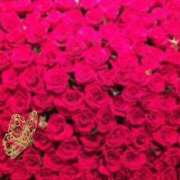 ヒメ日記 2025/07/31 09:24 投稿 さりな 池袋おかあさん