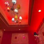 ヒメ日記 2024/12/26 01:16 投稿 ももこ 池袋おかあさん