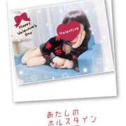 ヒメ日記 2025/02/09 11:54 投稿 ももこ 池袋おかあさん