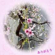 ヒメ日記 2025/03/28 15:24 投稿 ももこ 池袋おかあさん