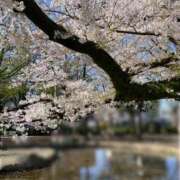ヒメ日記 2025/04/04 09:44 投稿 ももこ 池袋おかあさん