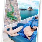 ヒメ日記 2025/09/03 23:34 投稿 ももこ 池袋おかあさん