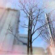 ヒメ日記 2025/12/31 13:14 投稿 ももこ 池袋おかあさん