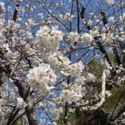 ヒメ日記 2026/03/24 15:04 投稿 ももこ 池袋おかあさん