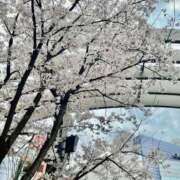 ヒメ日記 2026/03/28 18:14 投稿 ももこ 池袋おかあさん