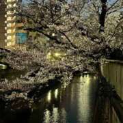 ヒメ日記 2026/03/30 18:54 投稿 ももこ 池袋おかあさん