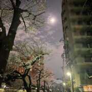 ヒメ日記 2026/03/30 19:44 投稿 ももこ 池袋おかあさん