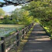 ヒメ日記 2026/07/09 06:59 投稿 ももこ 池袋おかあさん