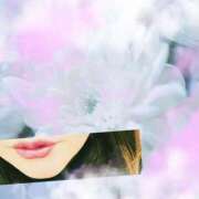 ヒメ日記 2025/03/16 12:56 投稿 蓮 熟女の風俗最終章 横浜本店